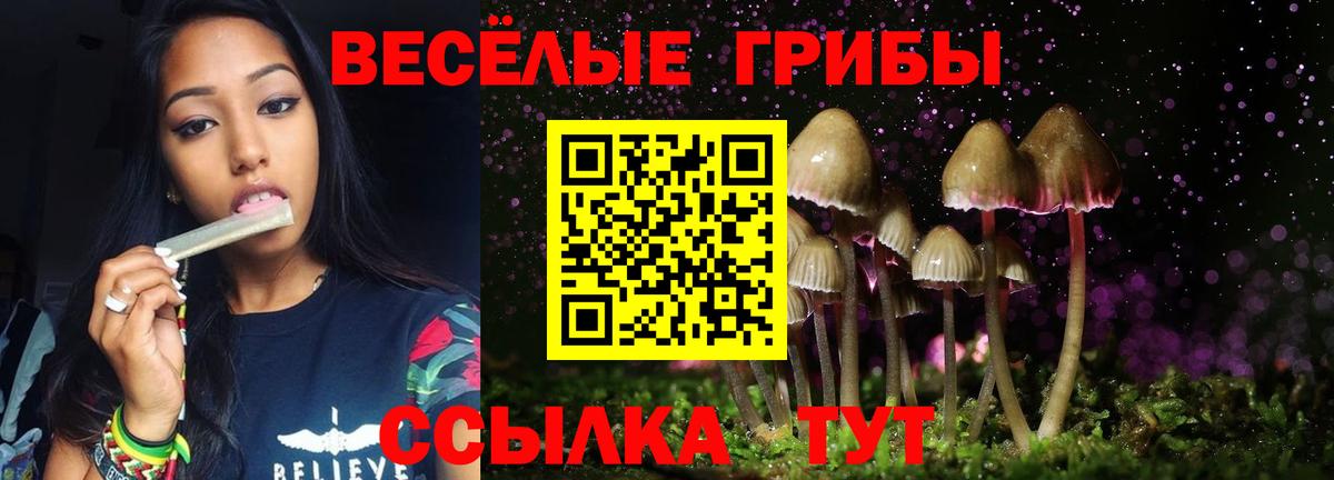Чебаркуль  Псилоцибиновые грибы ЛСД  Вход с VPN 